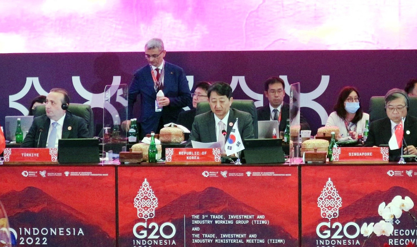 Trade Minister attends Trade, Investment & Industry Ministerial G20 Meeting